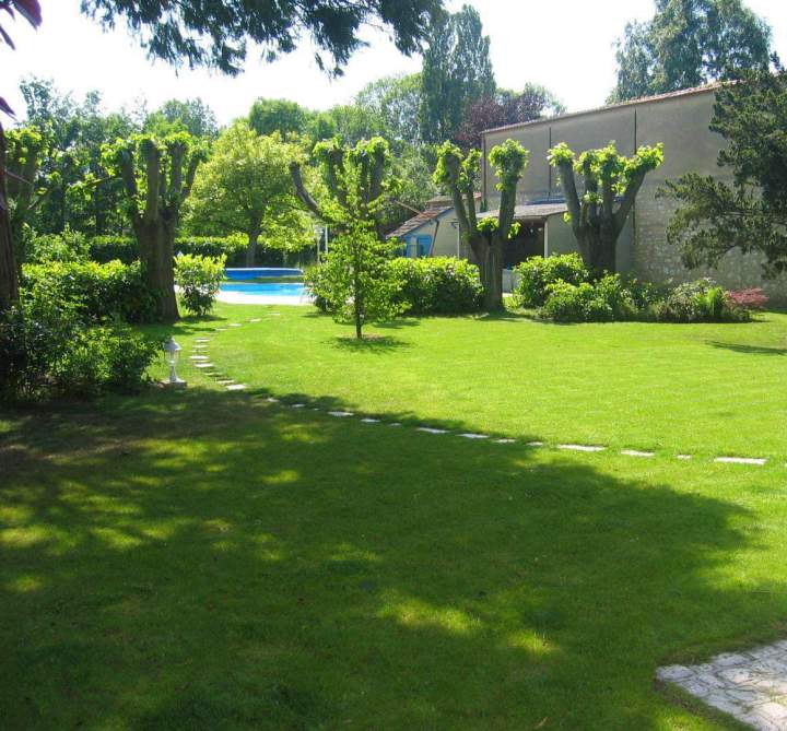 Taille de haies Montargis